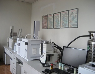 热裂解-气相色谱-质谱联用仪